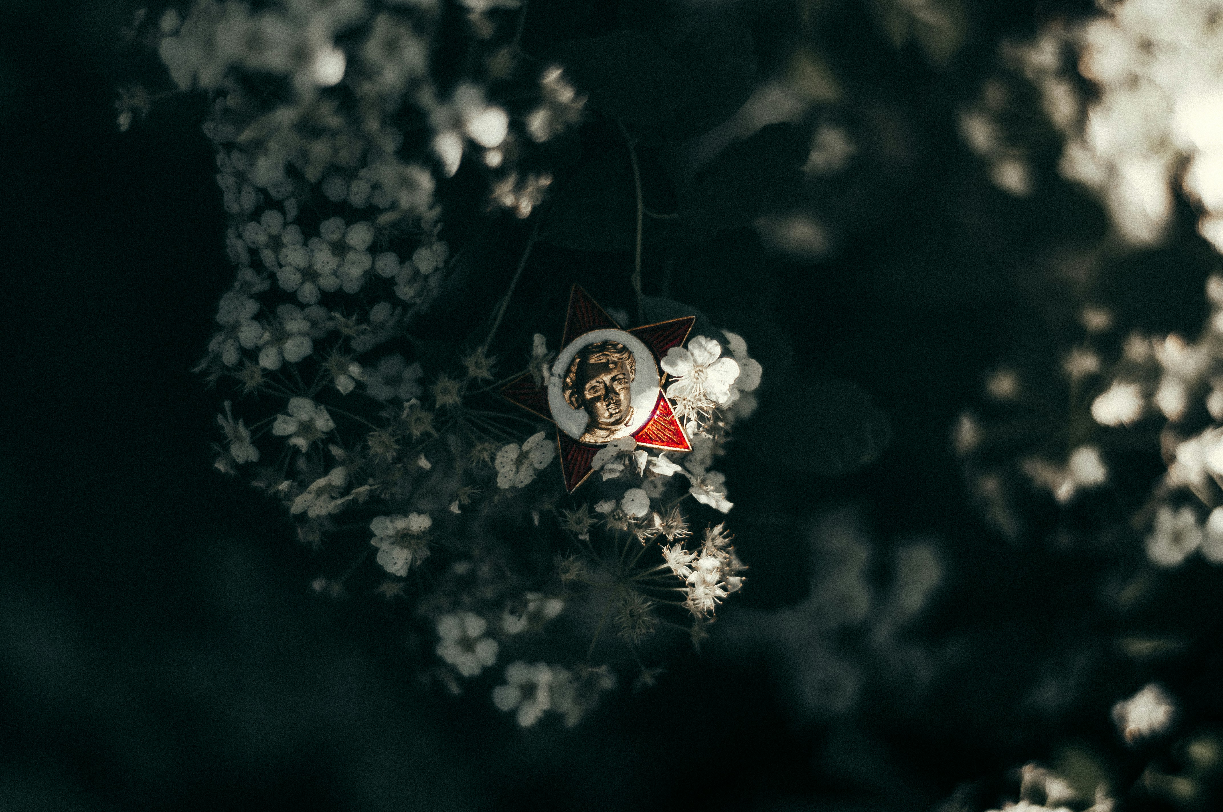 red and white hanging ornament on white flower